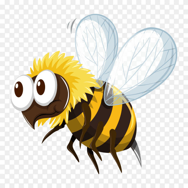 Bee isolated cartoon vector PNG