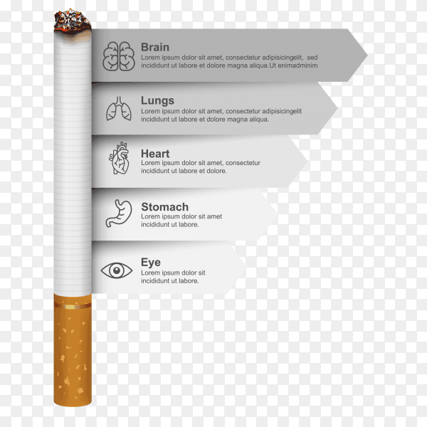 Illustration The harmful effects of smoking on the body vector PNG