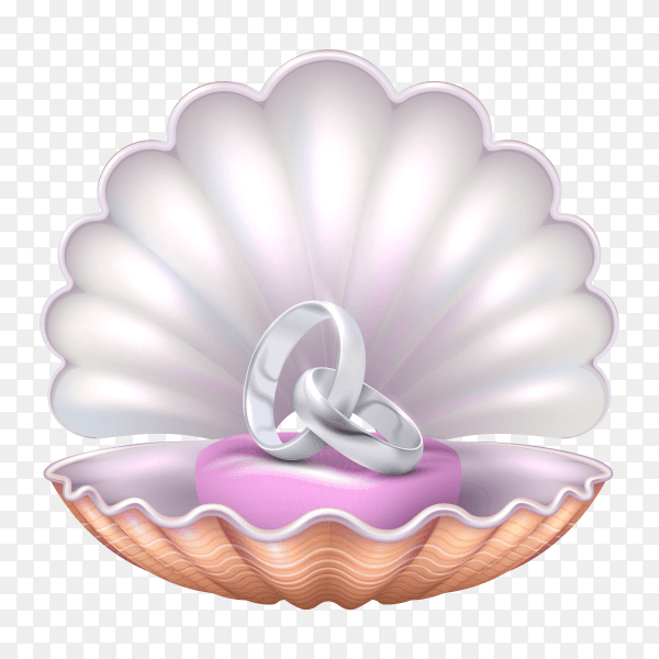 Marriage rings into seashell on transparent background PNG