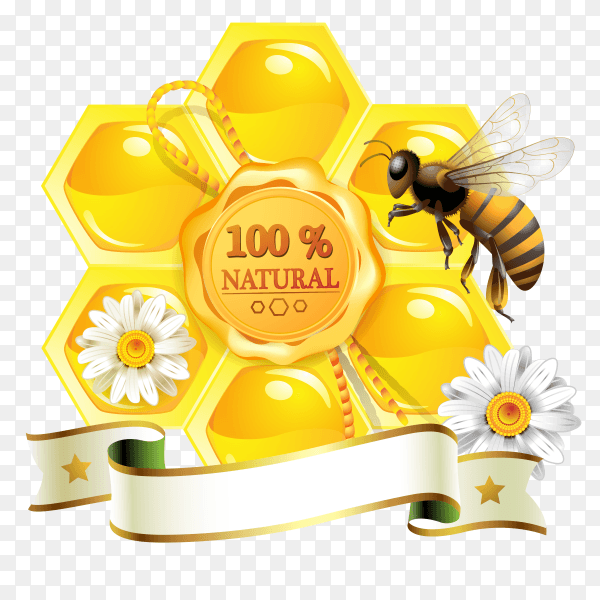 Natural honey banner on transparent background PNG