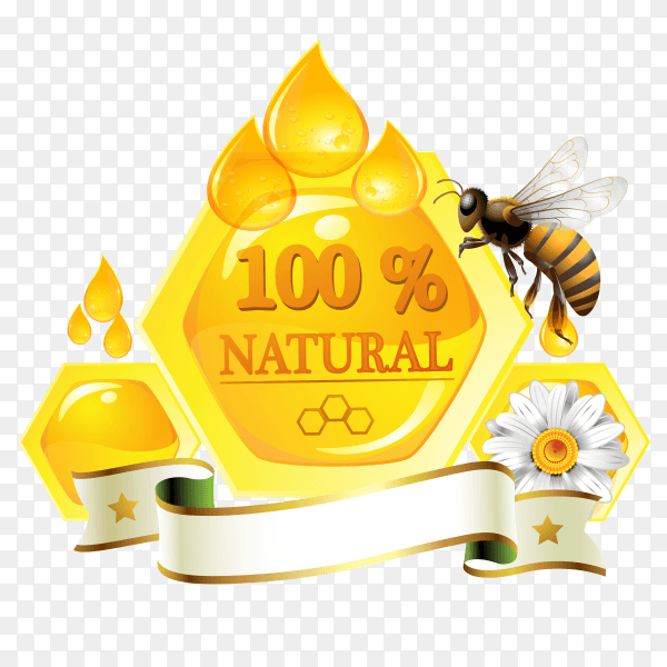 Natural honey bee design vector PNG