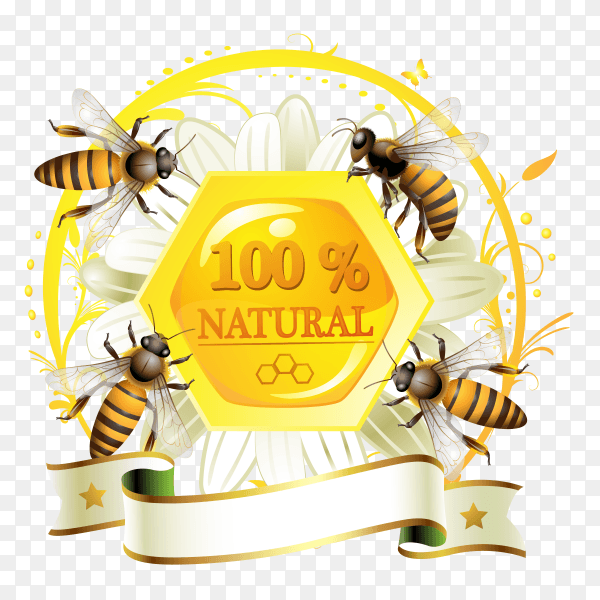 Natural honey with bee on transparent background PNG