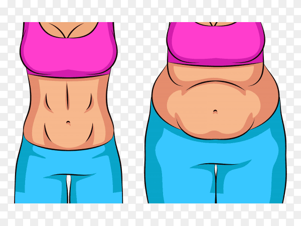 Over weight and slim woman Premium vector PNG
