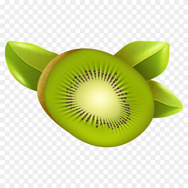 fresh kiwi fruit on transparent background PNG