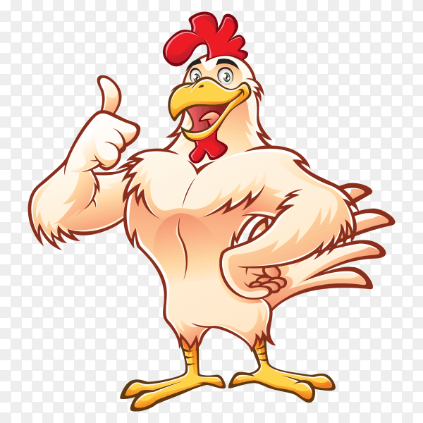 Cartoon chicken on transparent background PNG