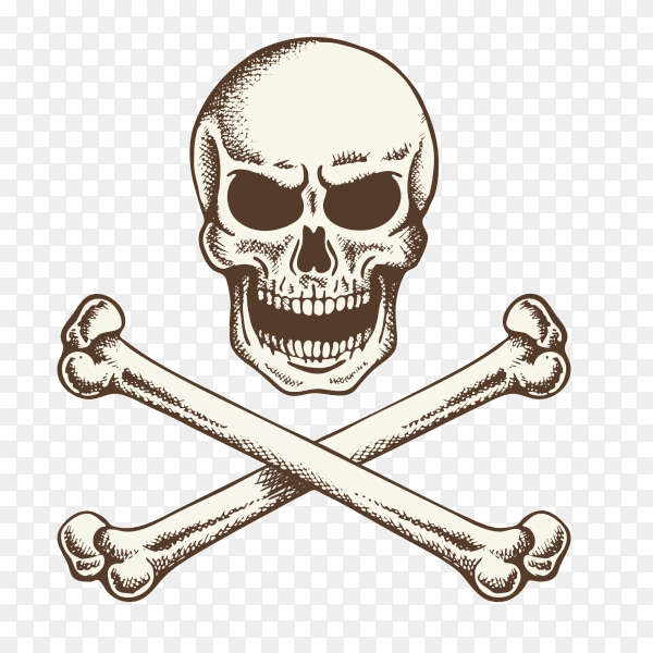Crossed bones skull icon on transparent background PNG