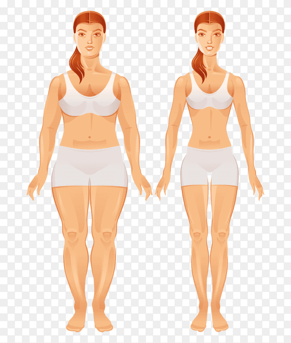 Fat and slim woman figures on transparent PNG