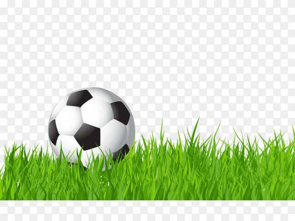 Football on Green grass on transparent background PNG