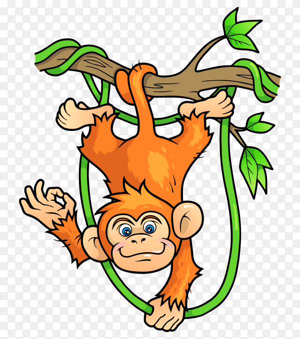 Funny monkey on transparent background PNG