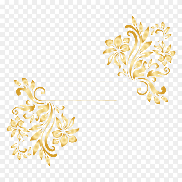 Gold floral frame on transparent background PNG
