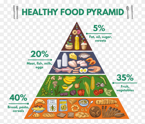 Healthy food pyramid chart on transparent background PNG