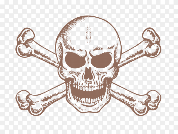 Skull and bones on transparent background PNG