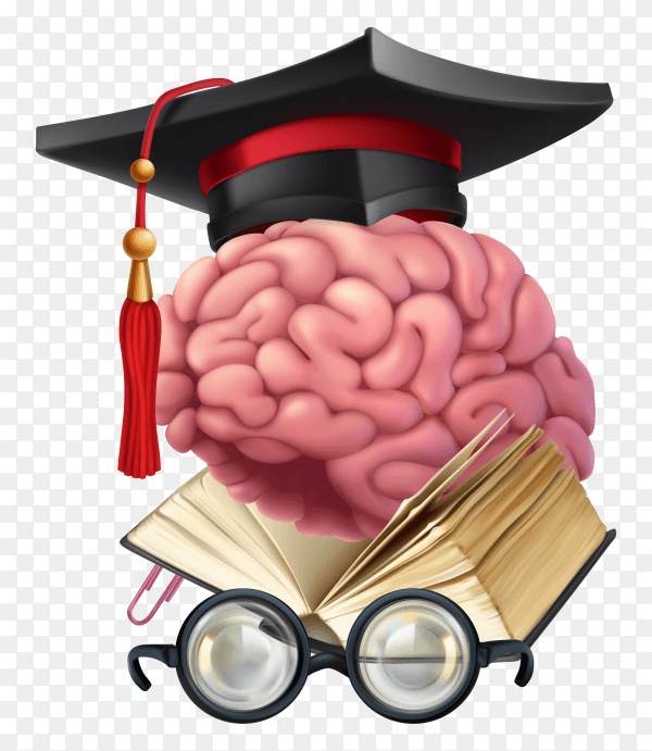Brain storming Illustration on transparent background PNG