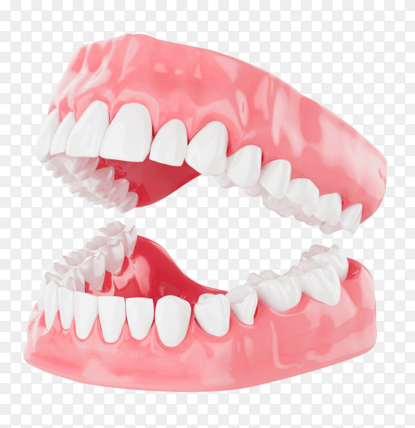 Close up beauty teeth health care on transparent backgrond PNG