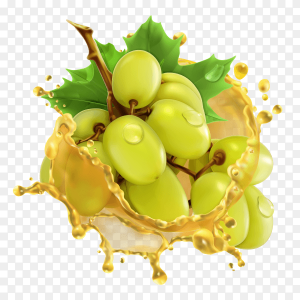 3D green Grape with juice splash premium vector PNG