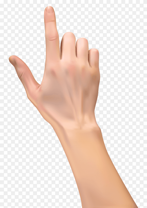 3D hand illustration on transparent background PNG