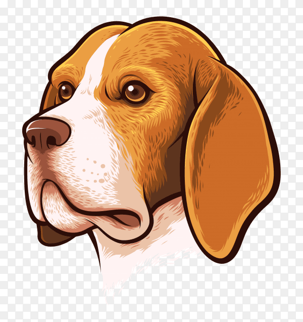 Beagle dog portrait premium vector PNG
