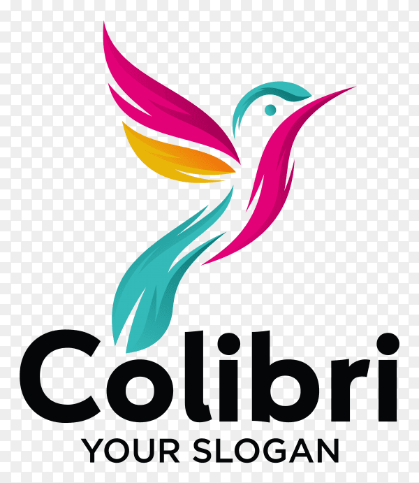 Beautiful simple bird colibri logo template on transparent background PNG
