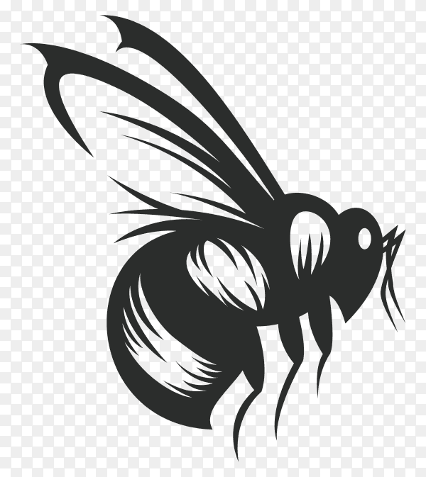 Bee drawing illustration isolated on transparent background PNG