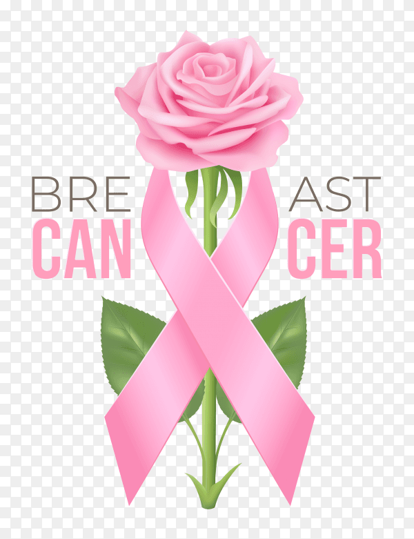 Breast cancer awareness month with pink ribbon and rose on transparent background PNG