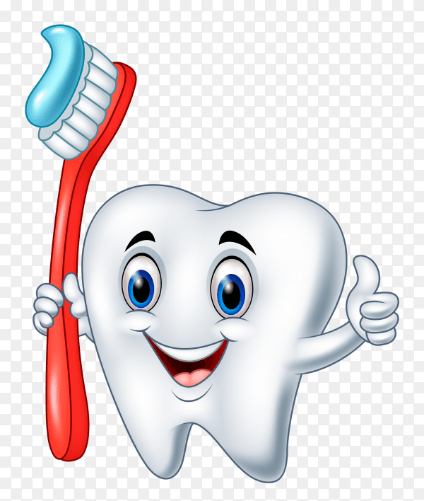 Cartoon tooth holding toothbrush giving thumb up on transparent background PNG
