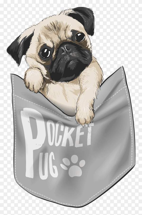 Cute dog in shirt pocket illustration on transparent background PNG