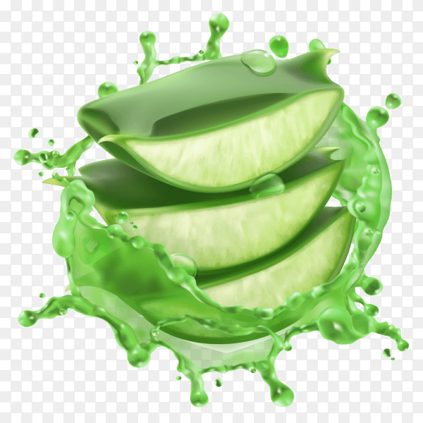 Green Aloe vera with water splashes on transparent background PNG