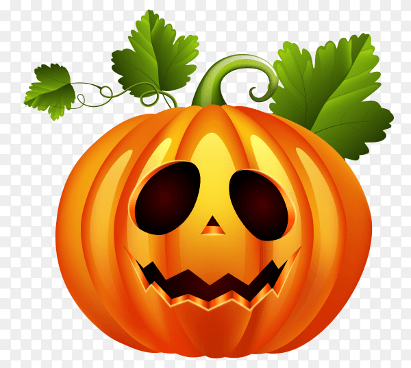 Halloween pumpkin on transparent background PNG