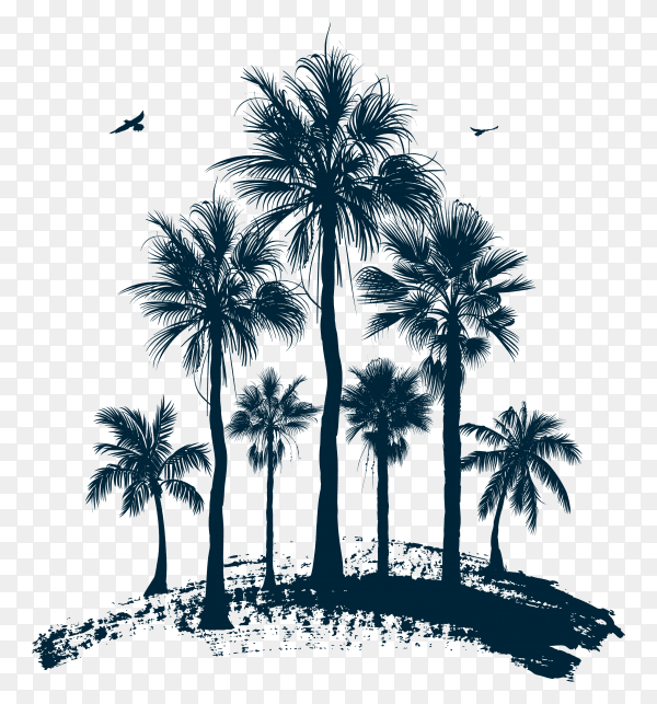 Hand drawn a palm tress illustration on transparent background PNG