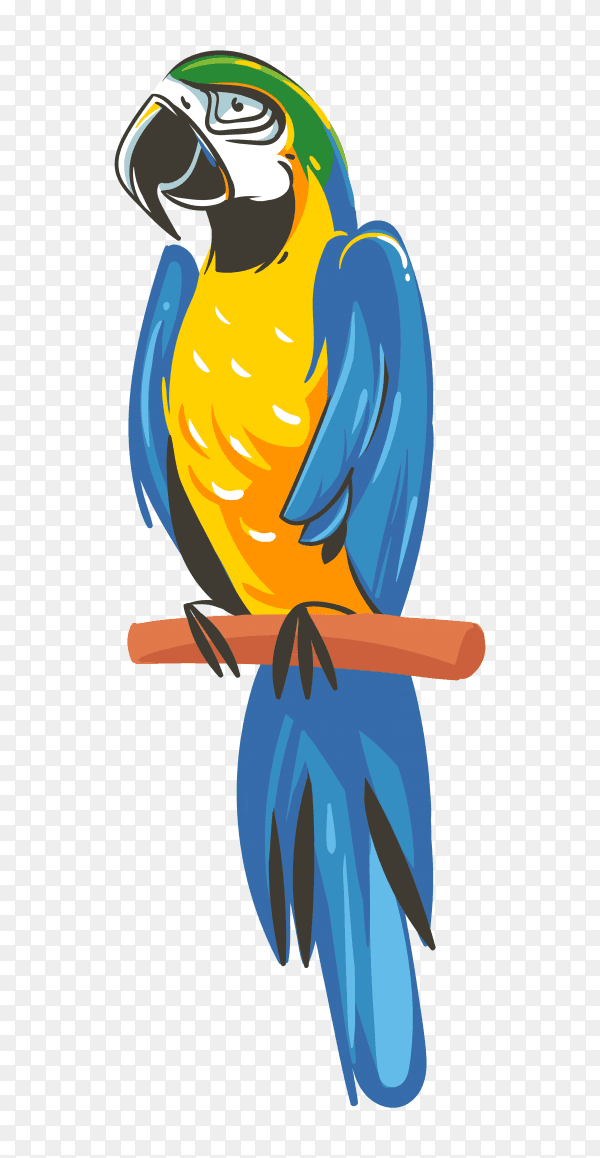 Hand drawn parrot with blue and yellow colors on transparent background PNG