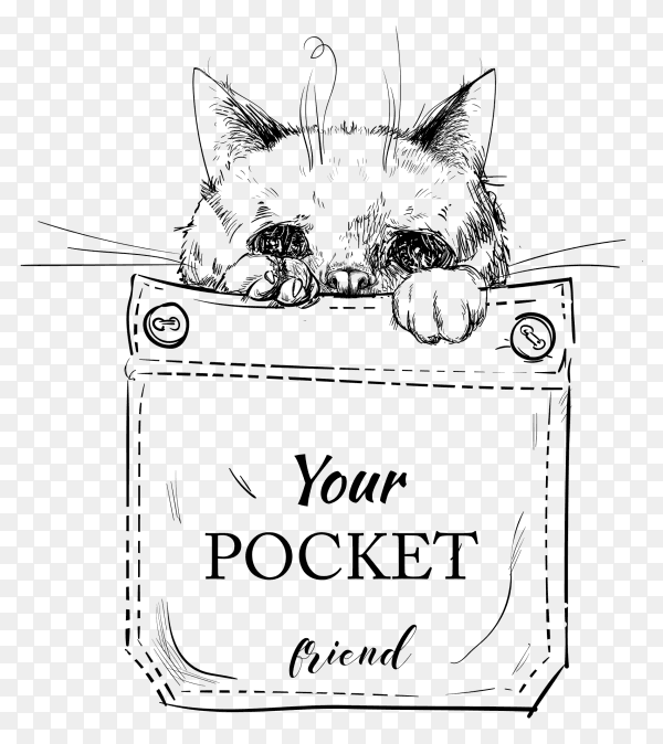 Little purebred cat in pocket on transparent background PNG