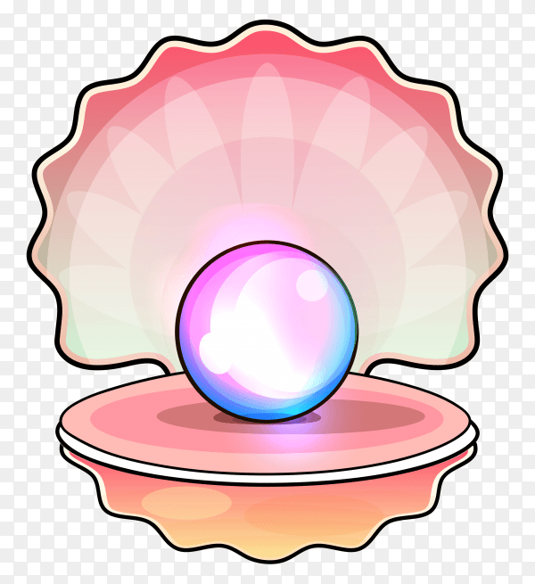 Open shell with pearl inside on transparent background PNG