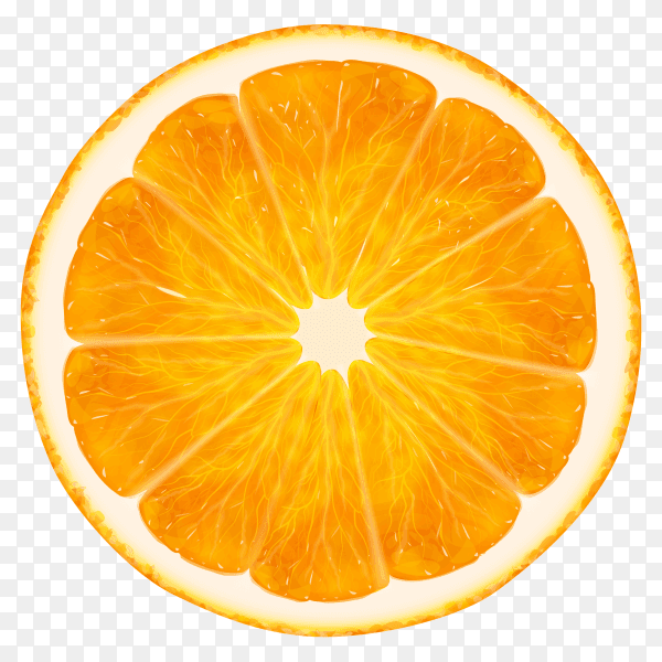 Orange fruit slice on transparent background PNG