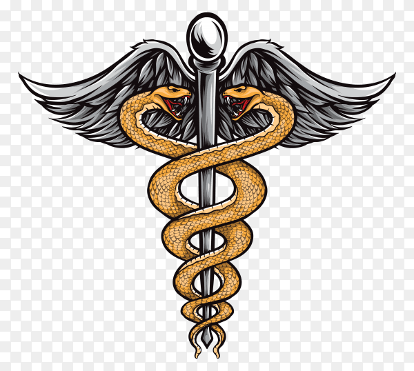 Pharmacy medical logo isolated on transparent background PNG