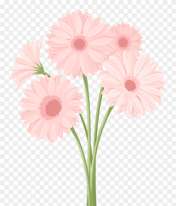 Pink flower illuatration premium vector PNG