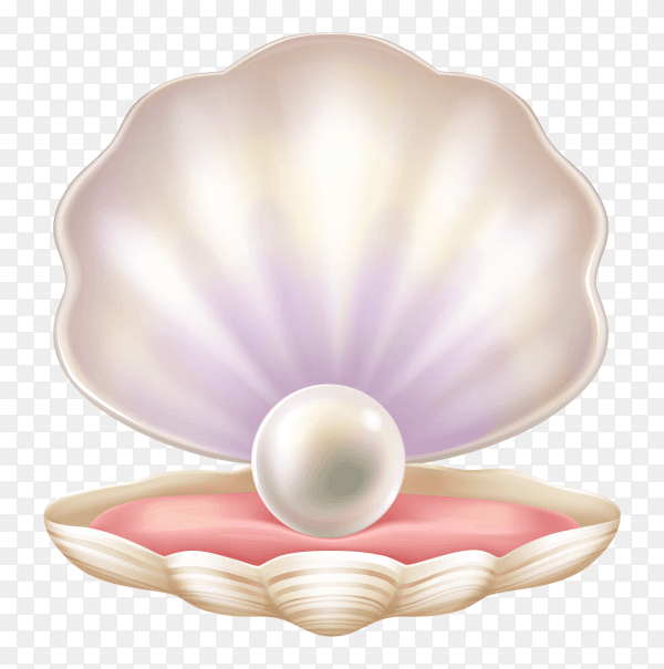 Precious pearl in opened shell on transparent background PNG