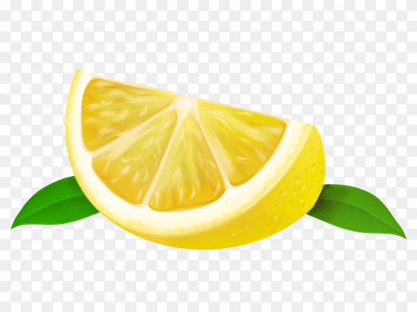 Quarter lemon isolated on transparent background PNG