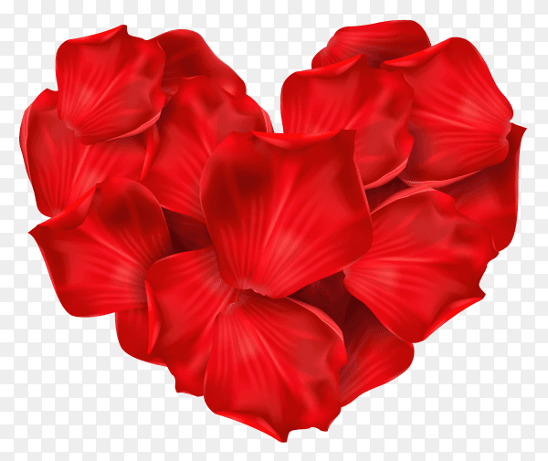Red heart shape flowers premium vector PNG