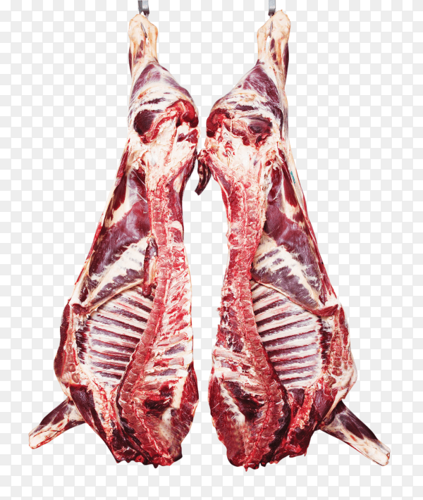 Slaughtered Meat Beef in Slaughterhouse on transparent background PNG