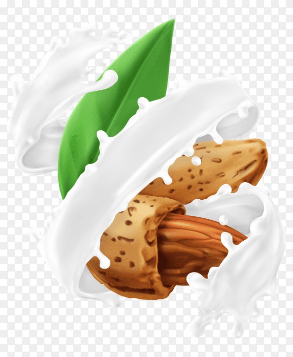 3D realistic almond and milk splash on transparent PNG