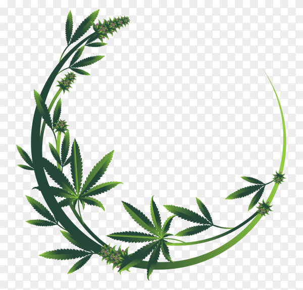 Abstract wreath with leaves on transparent PNG