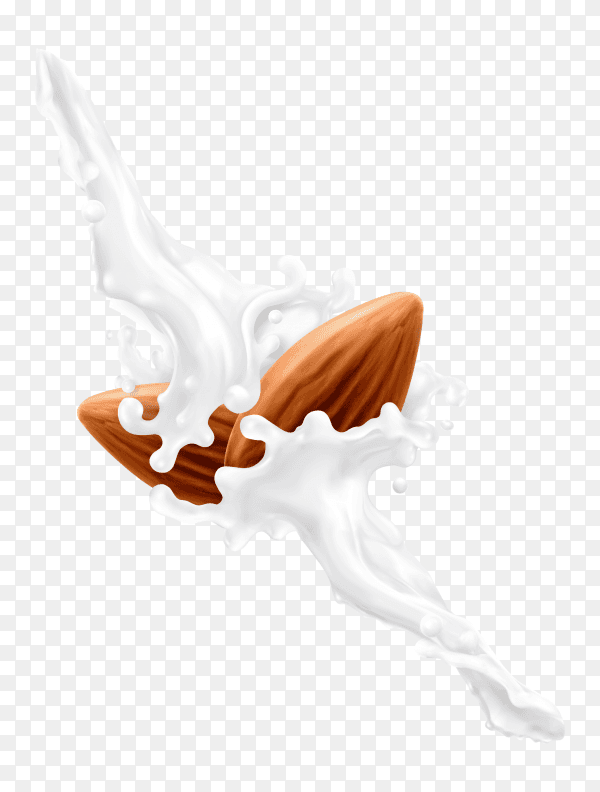 Almond and milk splash on transparent background PNG