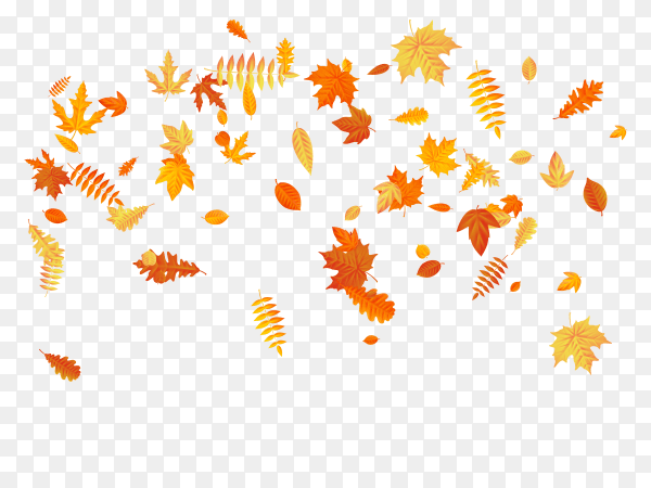 Autumn leaves falling illustration on transparent background PNG