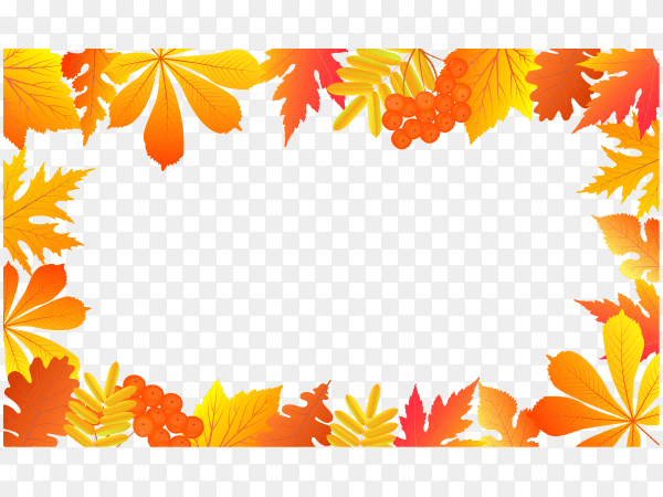Autumn with falling leaves and rowan berries on transparent background PNG