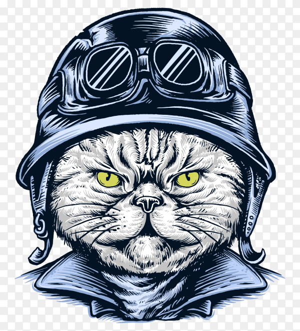 Cat wearing helmet illustration on transparent background PNG