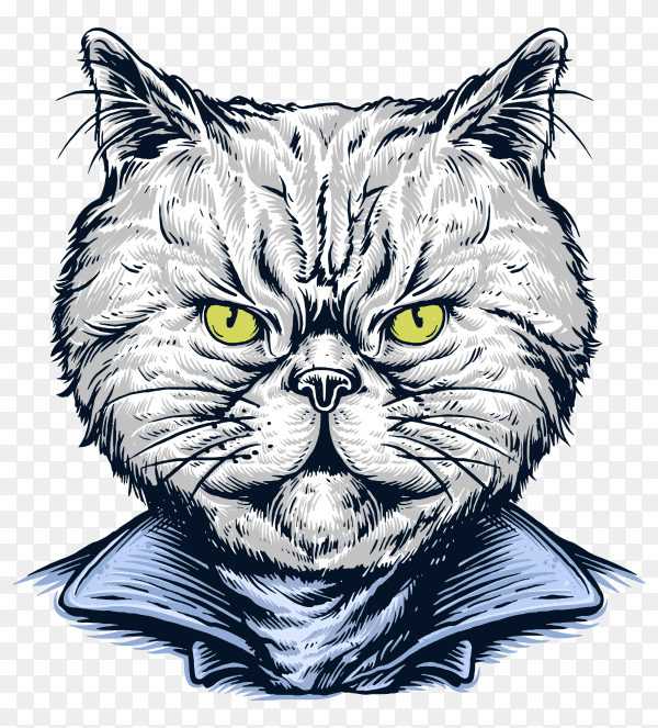 Cat wearing jacket rider on transparent background PNG