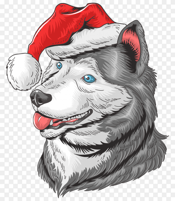 Christmas dog Santa Claus huskey on transparent background PNG