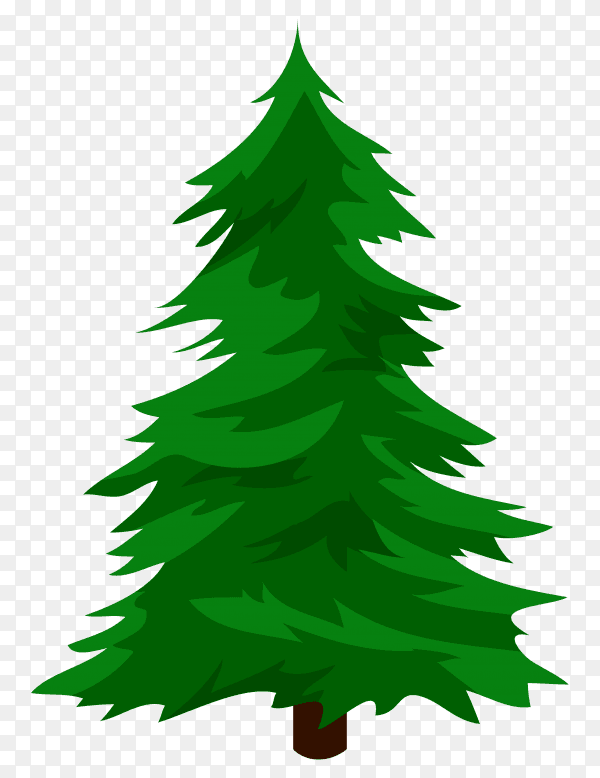Christmas tree illustration on transparent PNG