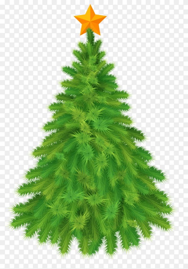 Christmas tree illustration premium vector PNG