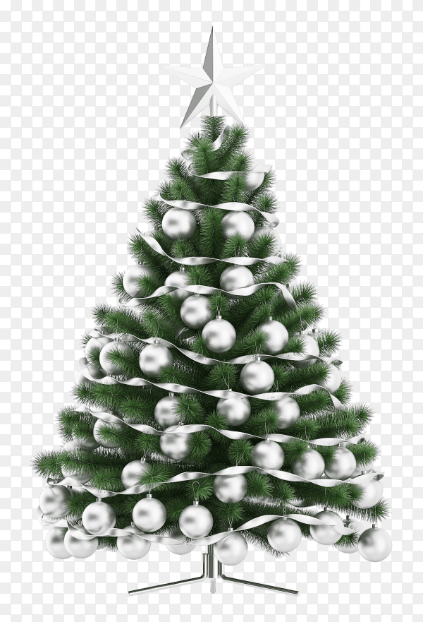 Christmas tree isolated premium vector PNG